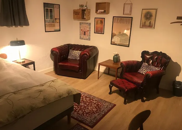 Comfortable Large Room King S Bed Near Cph Centre